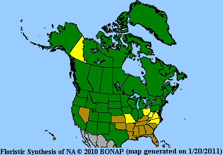 Campanula Range Map